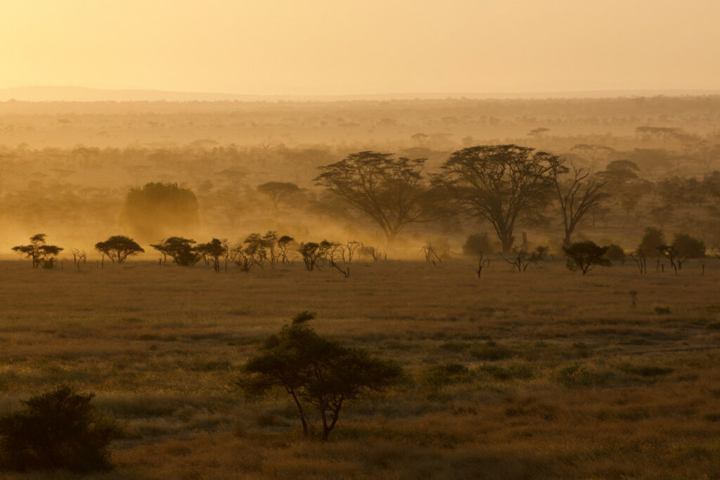 8 day tanzania hekima safari