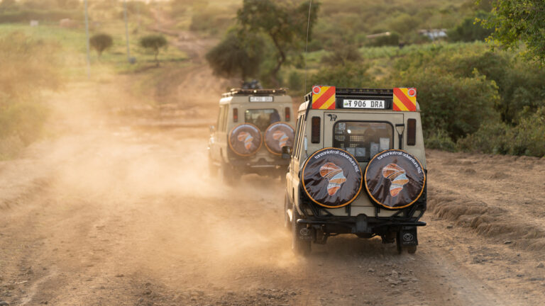 6 Day Tanzania Private Safari