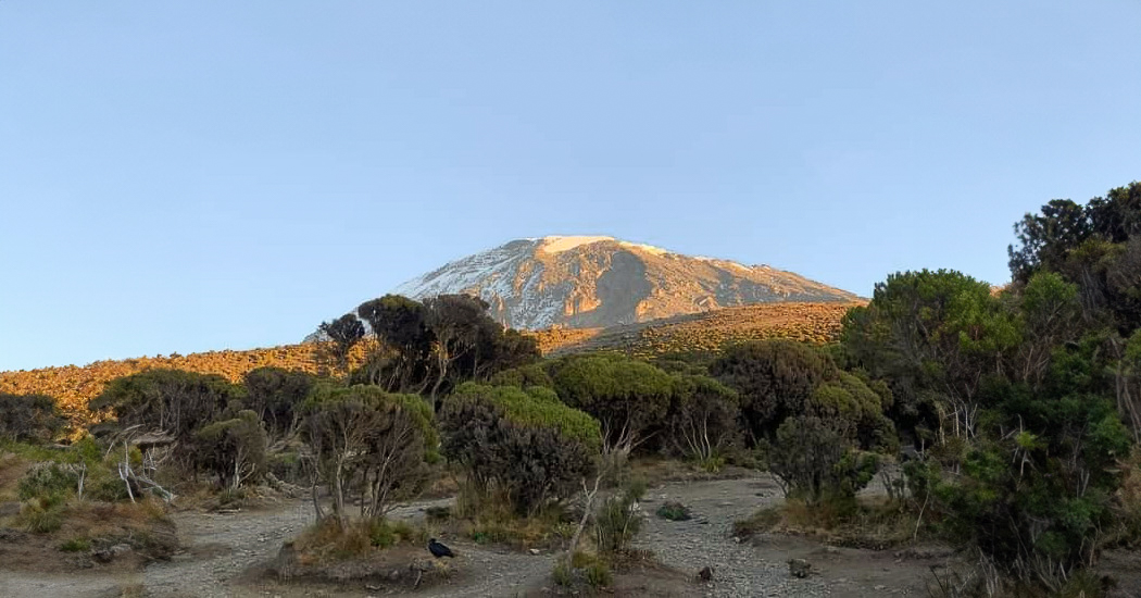 Kilimanjaro