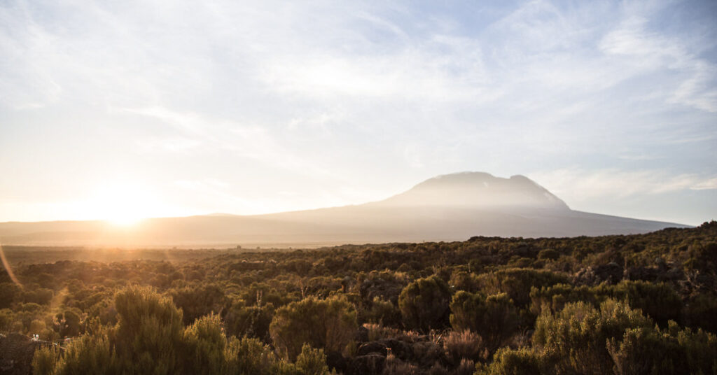 Kilimanjaro Lemosho Trekking Tour - Ascent to Shira 1 Camp