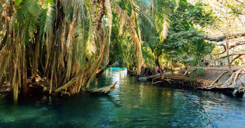 kikuletwa Hot Springs